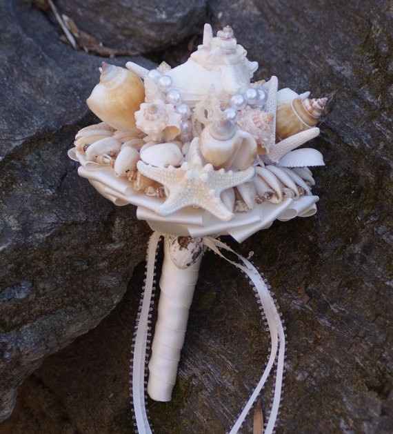 Ramo conchitas