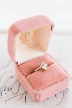 >> Anillo 2018