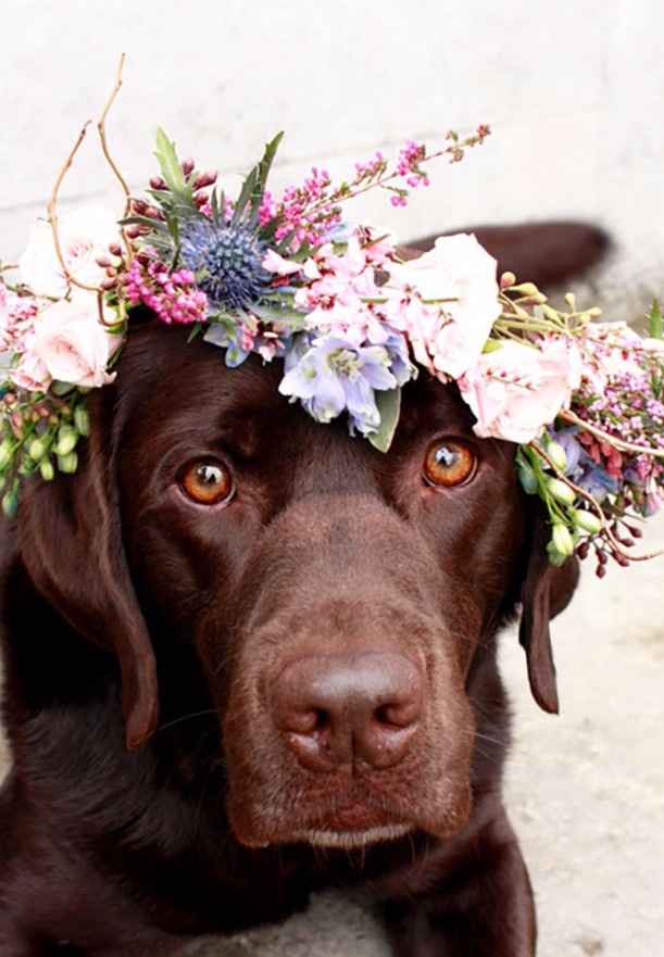 8 ideas para bodas en primavera ¡escoge tu favorita!