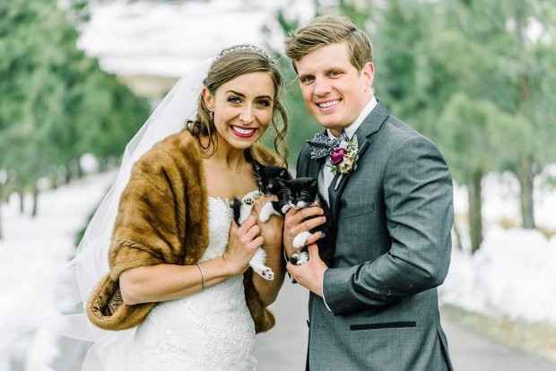 Boda con gatos ¿sí o no?