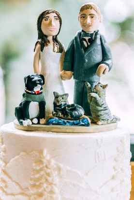 Boda con gatos ¿sí o no?