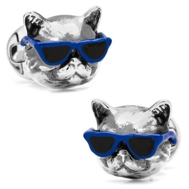 bodas con gatos