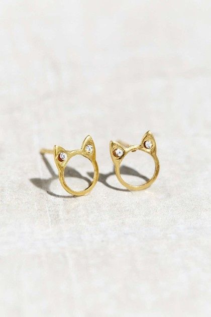 bodas con gatos