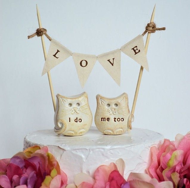 bodas con gatos