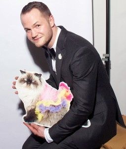 bodas con gatos