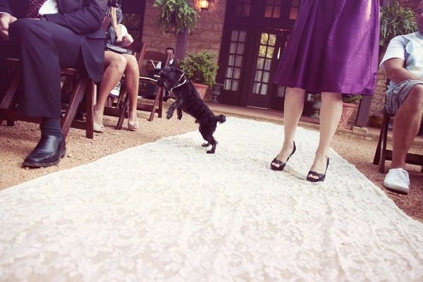 Camino al altar