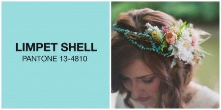 Limpet Shell