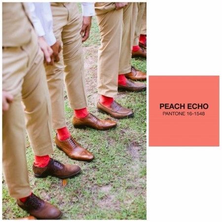 Peach Echo