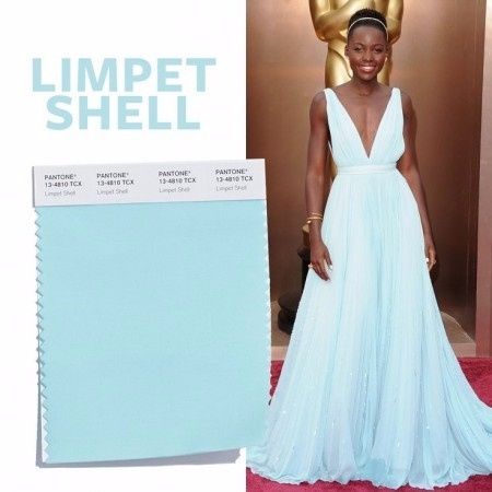 Limpet Shell