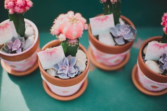 ideas con cactus ¿cuál te gusta?