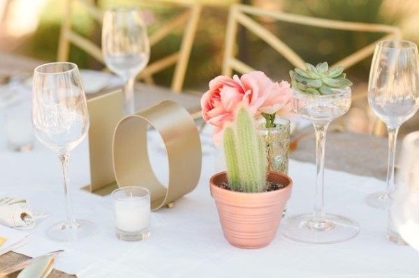 ideas con cactus ¿cuál te gusta?