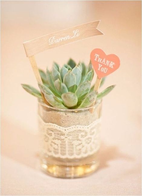 4. Una plantita linda