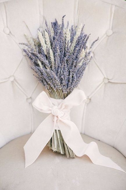 5 ramos con flores lavanda ¿con cuál te quedas?