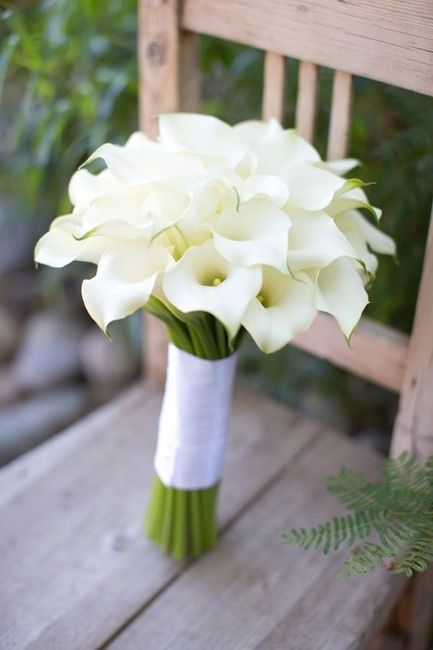 Total White