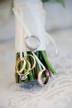 2. Un anillo familiar
