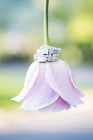 9 ideas para tomarle fotos a tu anillo ¡escoge tu favorita!