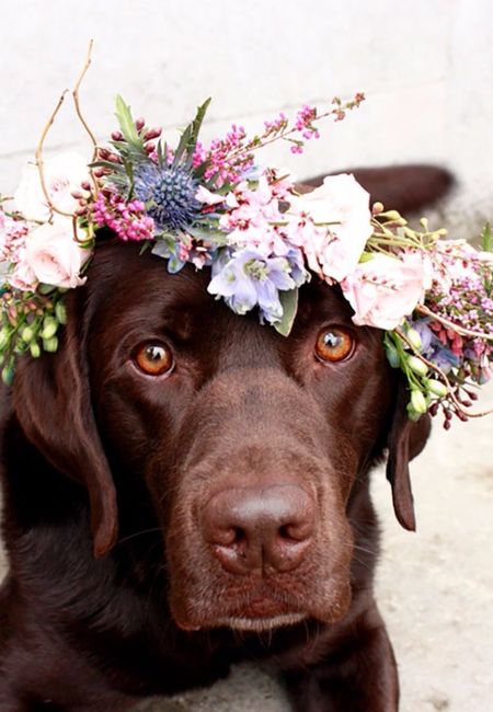 8 ideas para bodas en primavera ¡escoge tu favorita!