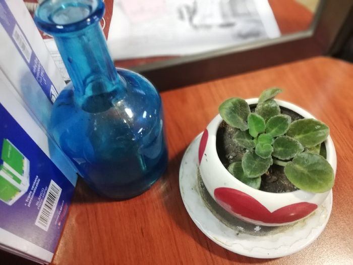 Si te tuvieras que casar en el lugar donde conociste a tu pareja... 1