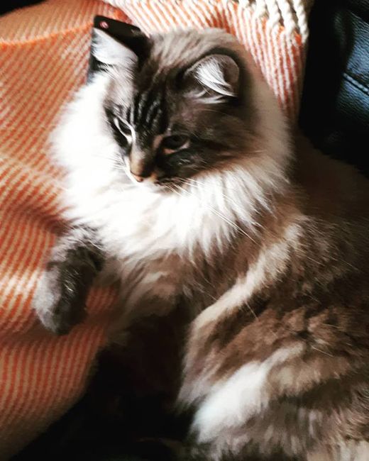 Me presento en 4 fotos