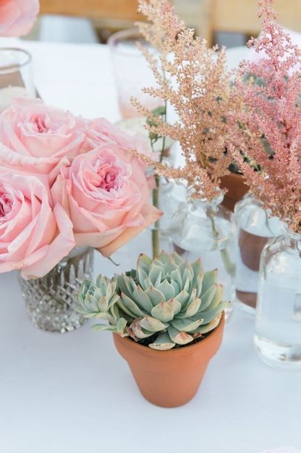 1) Cactus en la decoración para la boda