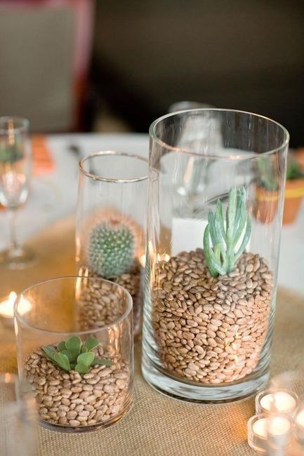2) Cactus en la decoración para la boda