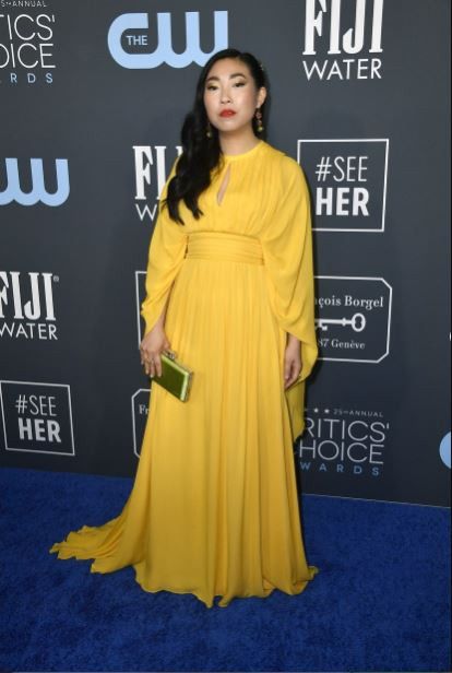 11 vestidos para invitadas, directamente de los Critics Choice Awards 2020 2