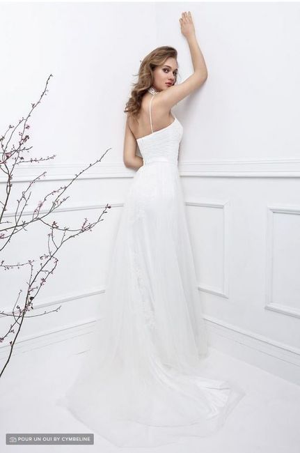 Tu vestido perfecto: Espalda - 1