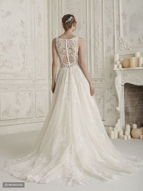 Tu vestido perfecto: Espalda - 6