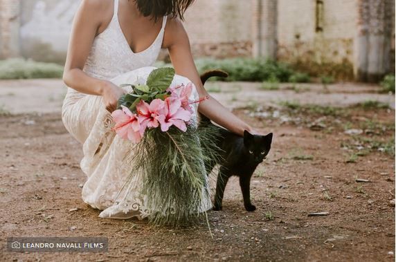 ¿Vas a incluir tu pet en la boda? - 1