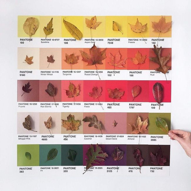 Paleta Pantone Otoño en tu boda 1