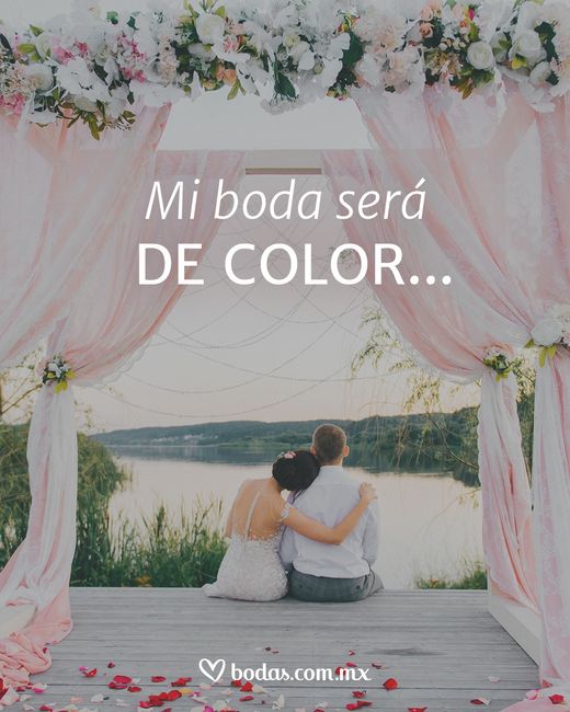❤️Mi boda será de color____ 1