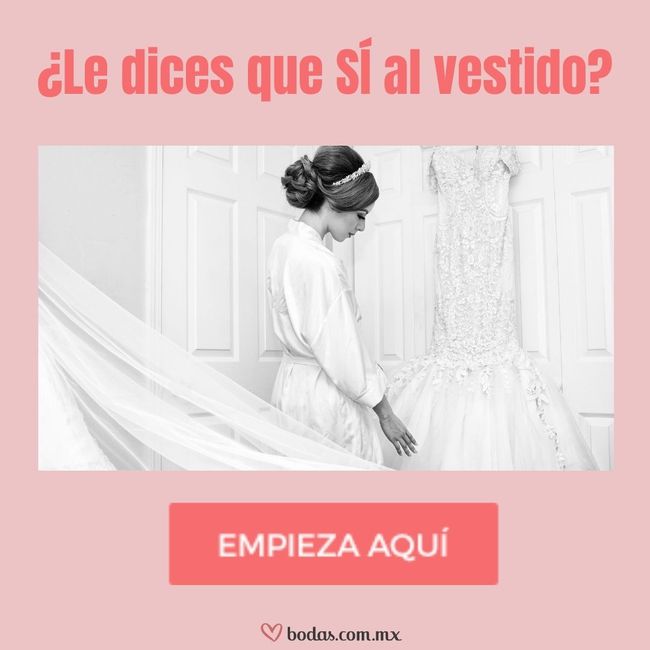 ¿Le dices que SÍ al vestido? 👰 - 1