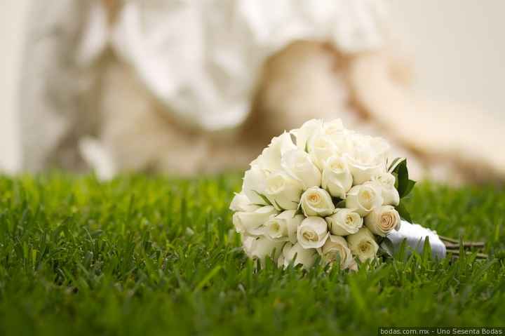D) ¿Qué flores te gustaría para tu ramo? 