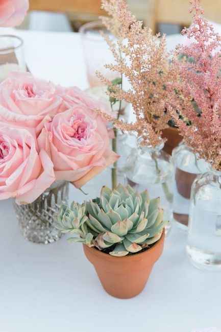 1) Cactus en la decoración para la boda