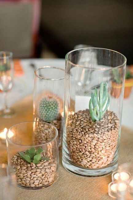 2) Cactus en la decoración para la boda