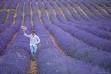2) campo de lavanda