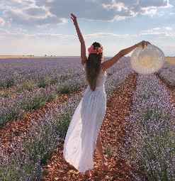 3) campo de lavanda