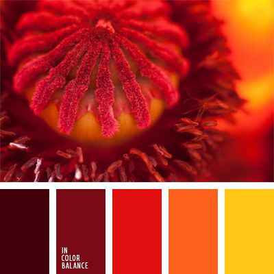 Inspiración Amarillo guinda