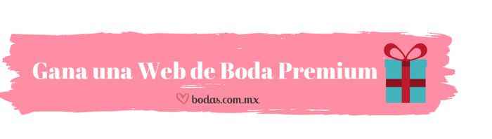gana web premium 