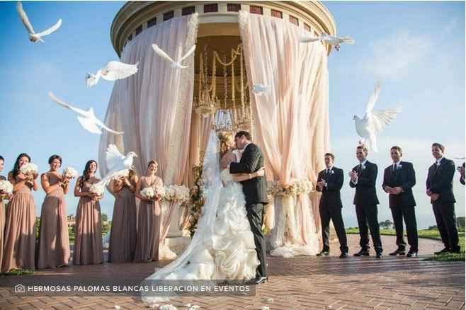 tramites boda civil y religiosa foto hermosas palomas blancas liberacion en eventos