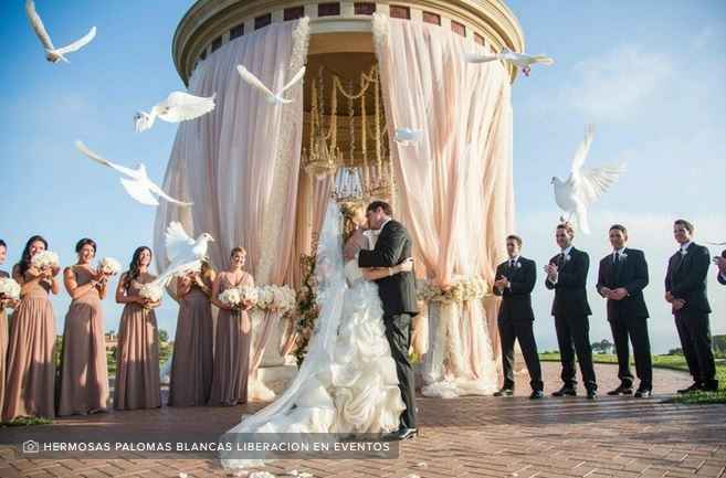 Liberar mariposas y/o palomas en la boda, ¿qué te parece? 2