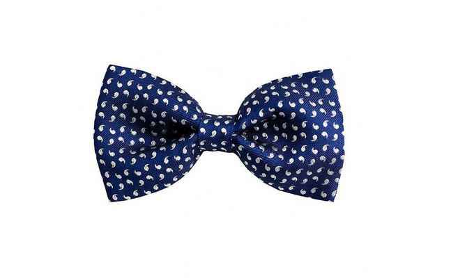 4 moños em color Azul para el novio 💙 - 3