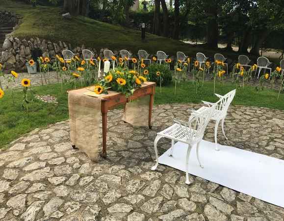 La loca de los girasoles en 8 fotos - 2