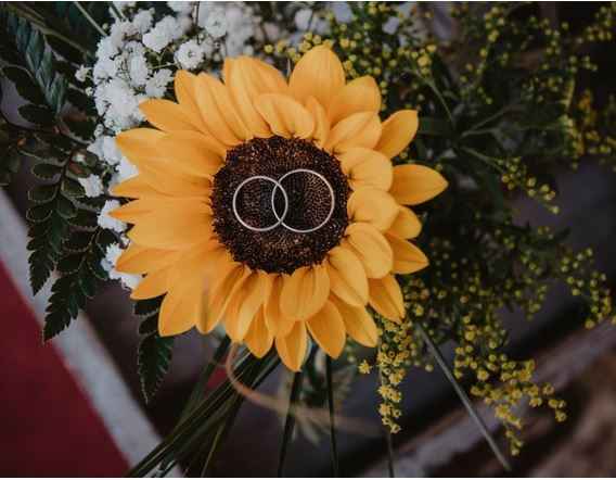 La loca de los girasoles en 8 fotos - 3