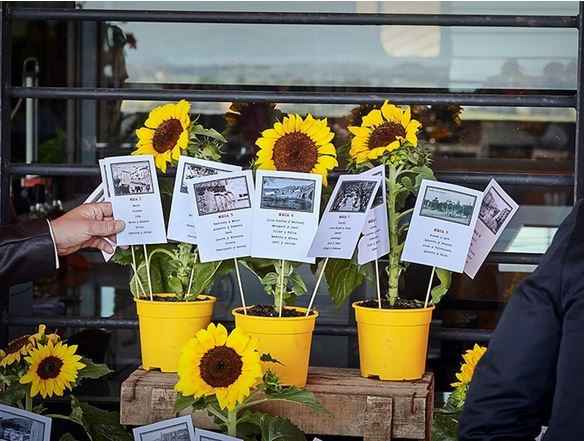 La loca de los girasoles en 8 fotos - 7