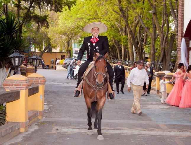 ¿Tu pareja llegará a caballo? - 1