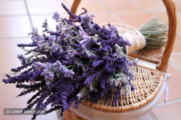 Plantas aromáticas para las bodas - 1