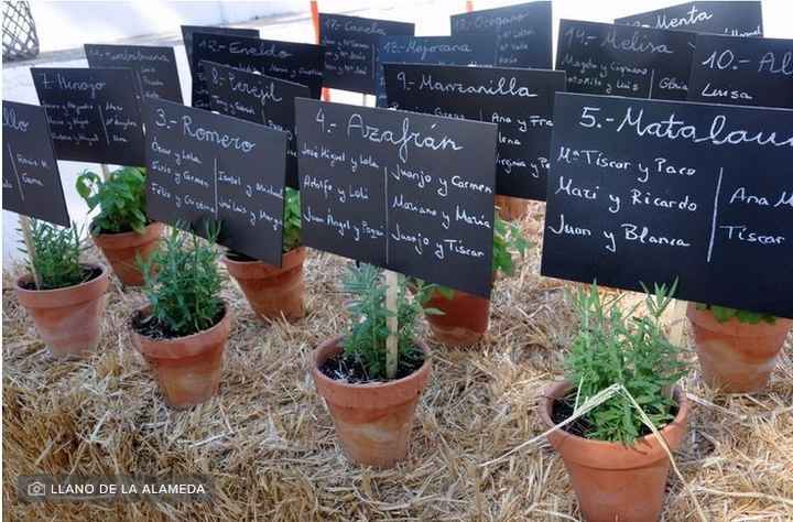 Plantas aromáticas para las bodas - 2