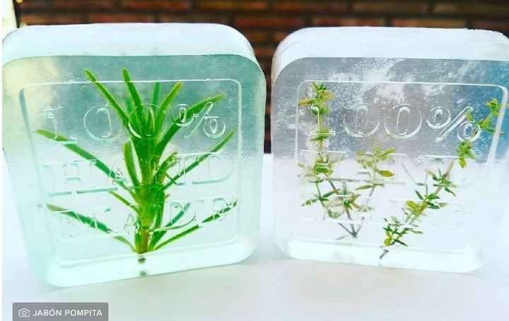 Plantas aromáticas para las bodas - 4