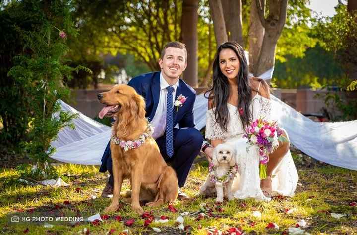 Outfits para las mascotas en la boda👍👎 - 3